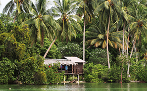 Solomon Islands : Travel :  Photos : Richard Moore : Photographer